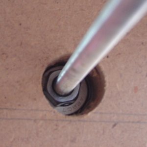 Lead screw and nut positioned through the bearing.